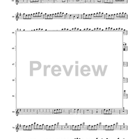 Double Concerto for Recorder and Flute in E minor - Flauto Dolce (Recorder)