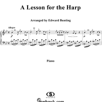 A Lesson for the Harp