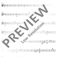 Introduction and Allegro appassionato G major - Viola