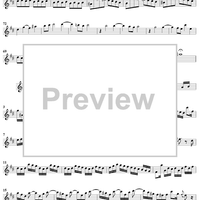 Flute Sonata No. 1 in B Minor, BWV1030 - Flute