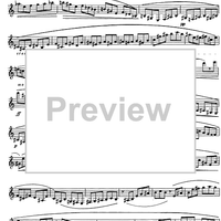 Preliminary studies to 'The Accomplished Clarinettist' Vol. 3 - Clarinet