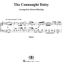 The Connaught Daisy