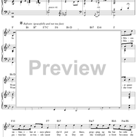 A Bar on the Piccolo Marina