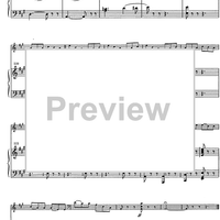 Suite andaluza - Score