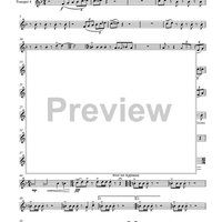 Circuite Suicus - Trumpet 4