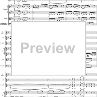 Flute Concerto No. 1 in G Major K285c (K313) - Full Score