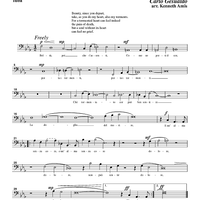 Beltà poi che t'assenti - Tuba