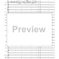 Harry Potter Symphonic Suite - Score