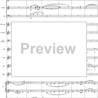 "Zu Hülfe! zu Hülfe! sonst bin ich verloren!", No. 1 from  "Die Zauberflöte", Act 1 (K620) - Full Score