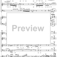 Mass No. 13 in B-flat Major: No. 5, Benedictus