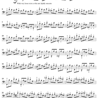 High School of Cello Playing, Op. 73: Part 1 (Nos. 1-20)