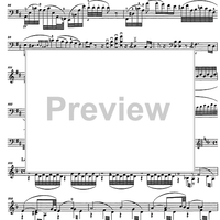 Capriccio sopra un tema della Niobe di Pacini Op.22 - Cello