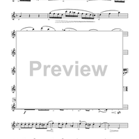 Harry Potter Symphonic Suite - Flute 1