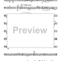 Turkey in the Straw - Bassoon