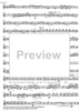 Sextuor pour la fin du 20ème Siècle or Variations on a theme by F. Schubert - Flute 3 & Piccolo