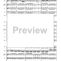 Allegro from Concerto in D Major - Score