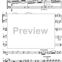 Am Wege zum Licht - Cello