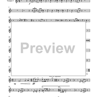 Circuite Suicus - Trumpet 5