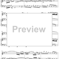 Flute Sonata No. 3, Movement 1
