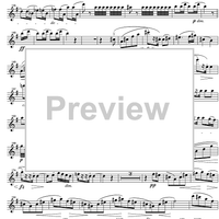 String Quintet G Major - Violin 1