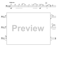 Stay, Time, Thy Flying - Double Bass