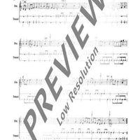 Pieces for Recorder and Drum - Performance Score
