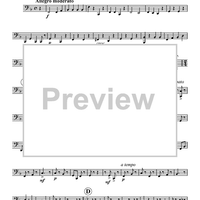 Polka Fantastic - Tubas