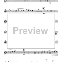 The Lost Chord - Flute