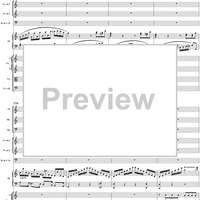 Piano Concerto No. 21 in C Major ("Elvira Madigan"), Movement 1 (K467) - Full Score