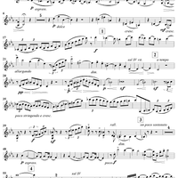 Clarinet Sonata, Op. 14  (in place of Clarinet) - Violin