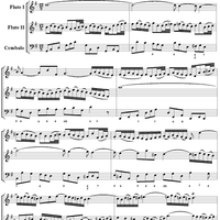 Trio Sonata in G major for Two Flutes and Continuo, Mvmt. 1, BWV1039