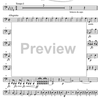 String Quintet C Major D956 - Cello 2