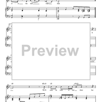 Wherever The Trail May Lead