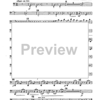 The Dancing Sergeant - Bassoons