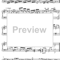 Concerto G Major BWV 986