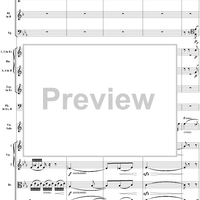 Violin Concerto No. 1, Movement 2 - Score