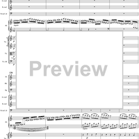 Piano Concerto No. 21 in C Major ("Elvira Madigan"), Movement 1 (K467) - Full Score