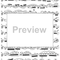 Grand Duo in D Major, Op. 39, No. 3 - Flute 1