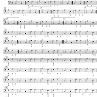 Diversi Bizzarrie Sopra la Vecchia - Continuo