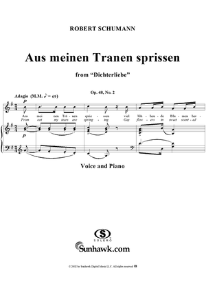 Dichterliebe (Song Cycle), Op. 48, No. 02: Aus meinen Tränen spriessen - No. 2 from "Dichterliebe" Op. 48