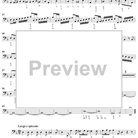 Concerto in D Minor - Bass