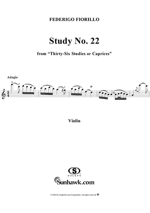 Study No. 22