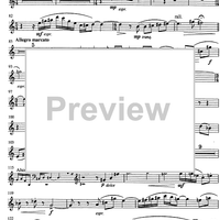 Diptykhos - E-flat Sopranino Saxophone