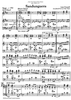 Sandunguera - C Instruments