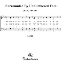 Surrounded By Unnumbered Foes