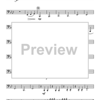 Wien, Du Stadt Meiner Traume - Tuba 2