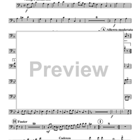 Polka Fantastic - Bassoon