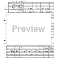 From Dylan's Land - Score