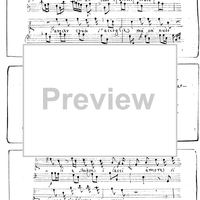 Amore si fugga s'abborra si scacci