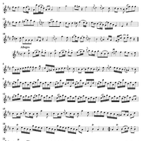 Sonata No. 21 in D Major - Flute